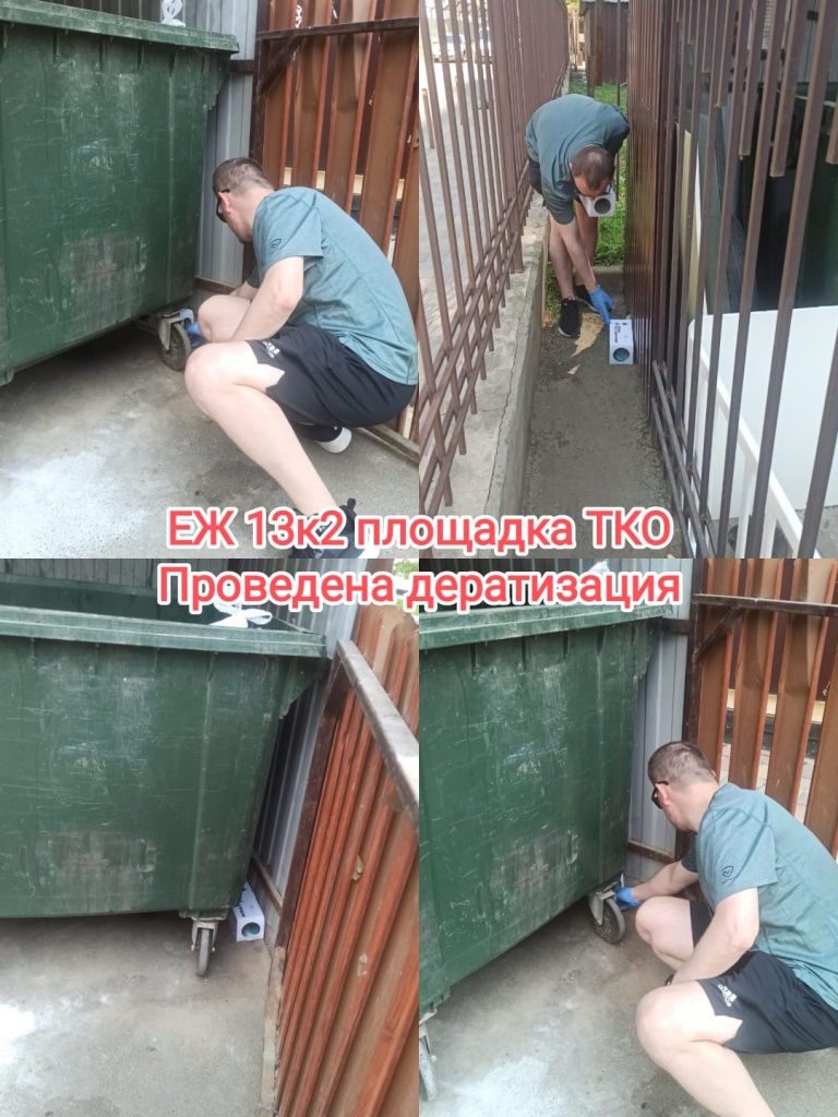 100625_ЕЖ13-2_дератизация.jpg
