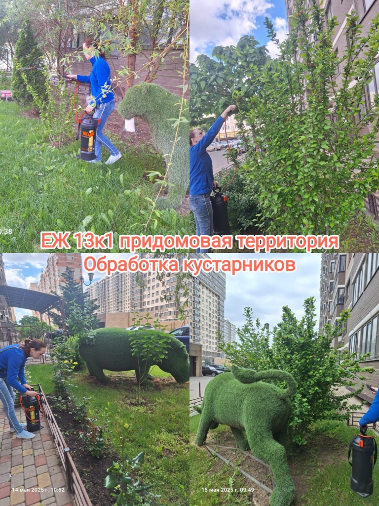 150525_ЕЖ13-1_придомовая.jpg