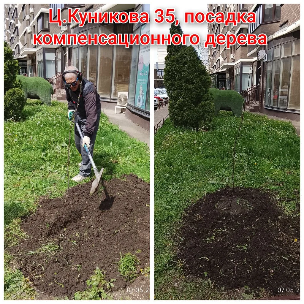 IMG_20260514_090053.png
