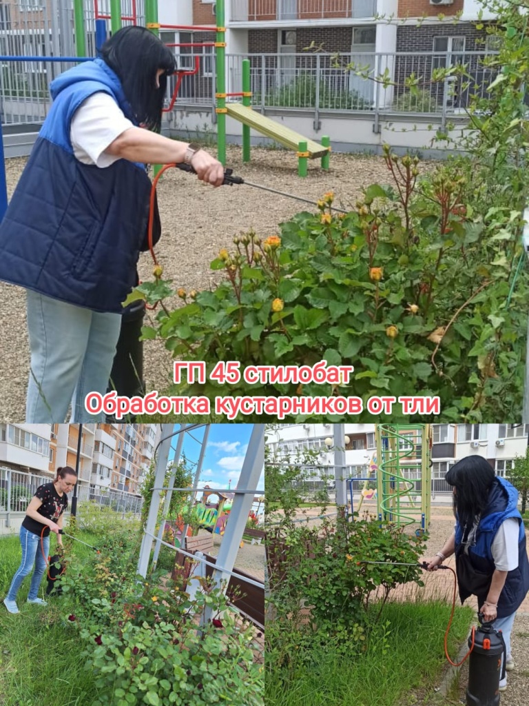 160525_ГП45_стилобат_обработка от тли.jpg