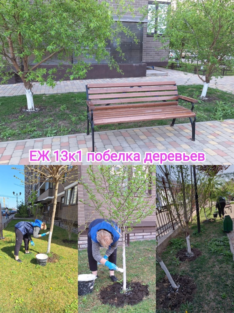 100424_еж13-1_побелка.jpg 100424_еж13-1_побелка.jpg