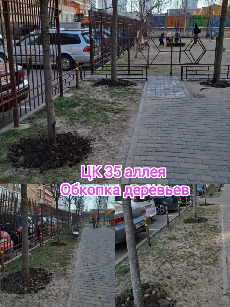 290224_цк35_обкопка деревьев.jpg 290224_цк35_обкопка деревьев.jpg
