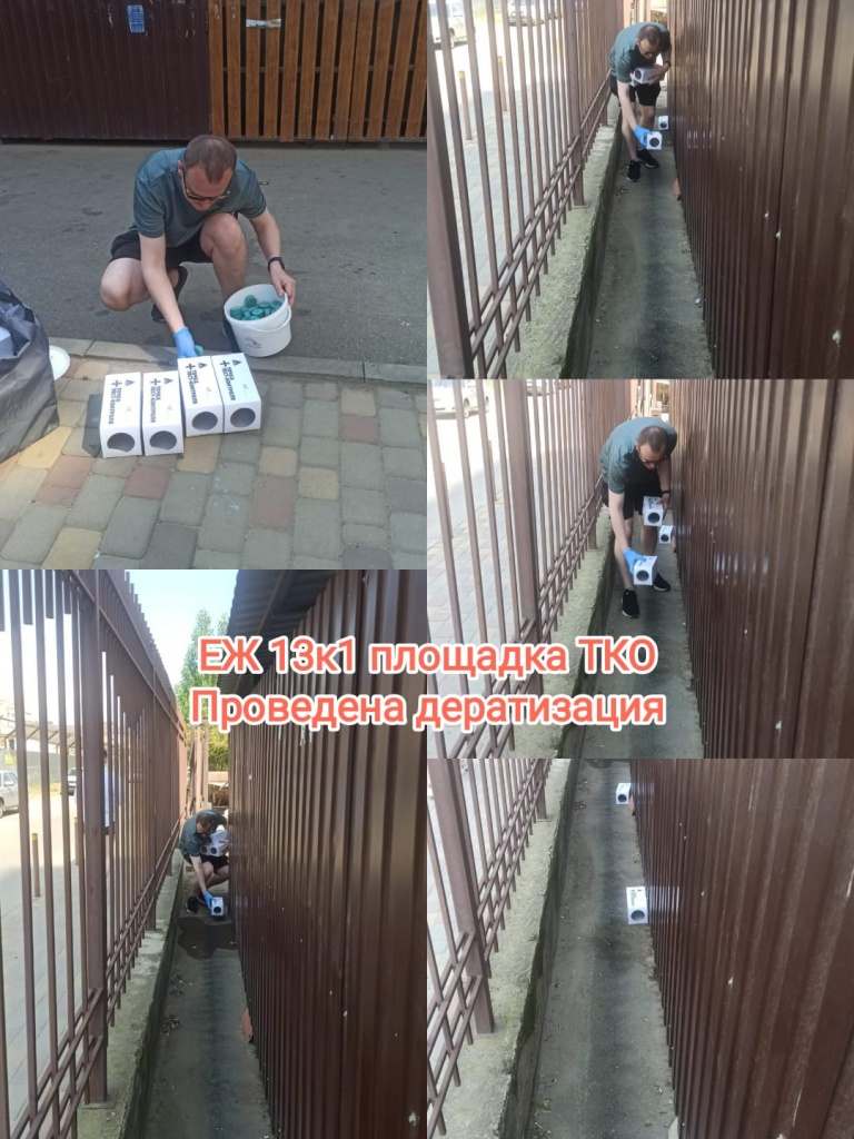 100625_ЕЖ13-1_дератизация.jpg