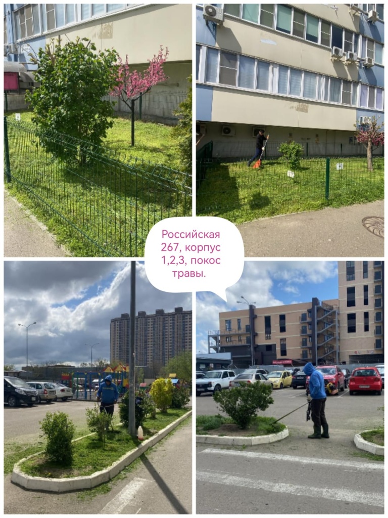 240425_Оникс_покос.jpg 240425_Оникс_покос.jpg