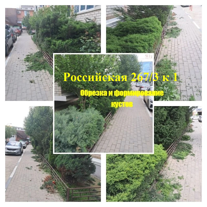 IMG_20260520_141833.png