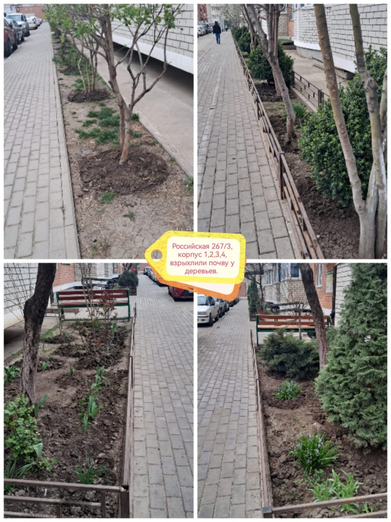 090425_Росс1234_обкопка деревьев.jpg 090425_Росс1234_обкопка деревьев.jpg