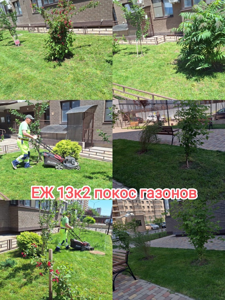 210524_еж13-2_покос газонов.jpg 210524_еж13-2_покос газонов.jpg