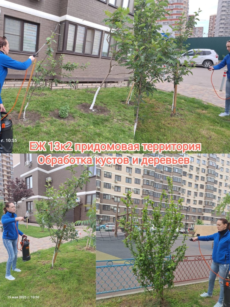 150525_ЕЖ13-2_придомовая.jpg