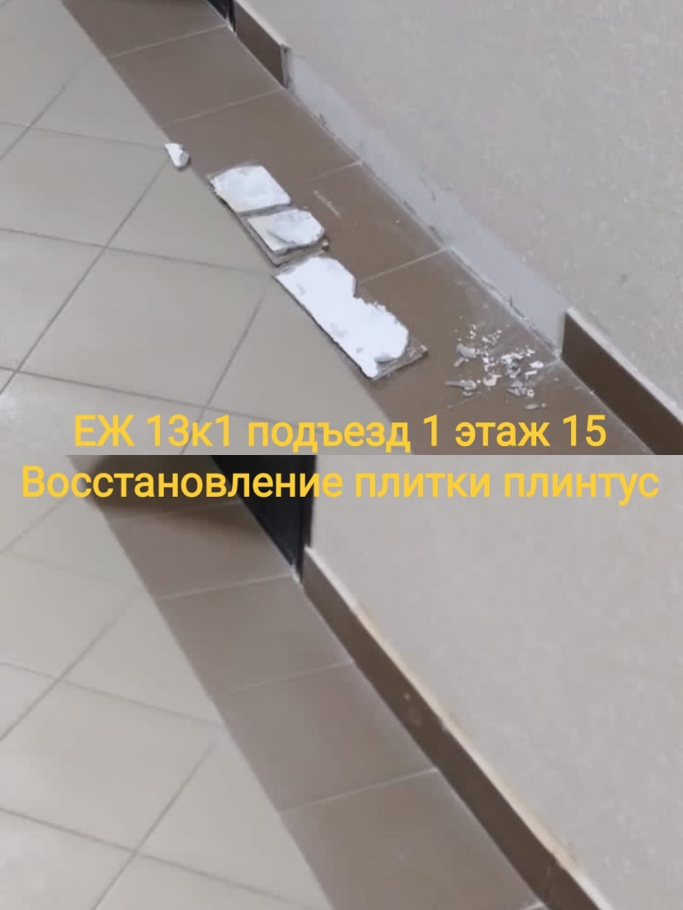 300124_еж13-1_1п_15эт_восстан_плитки.jpg 300124_еж13-1_1п_15эт_восстан_плитки.jpg