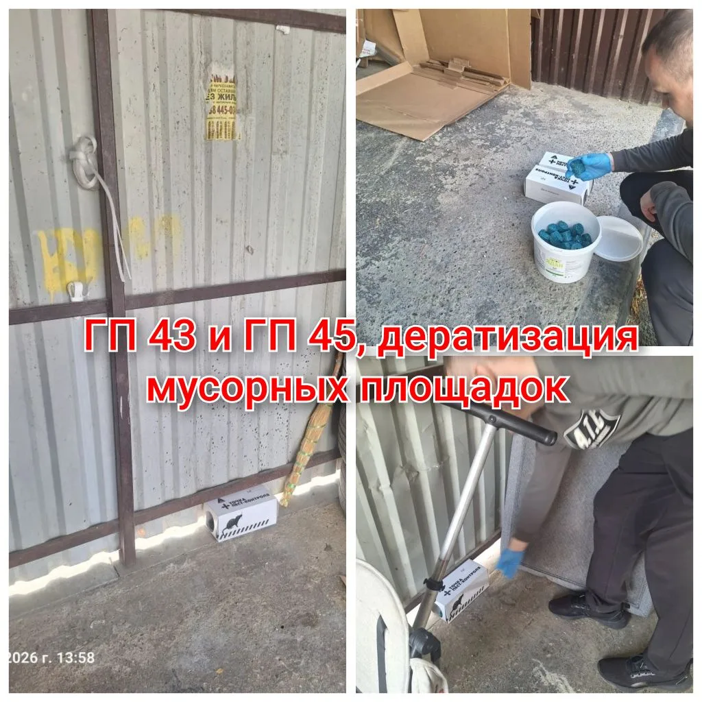 IMG_20260515_154453.png