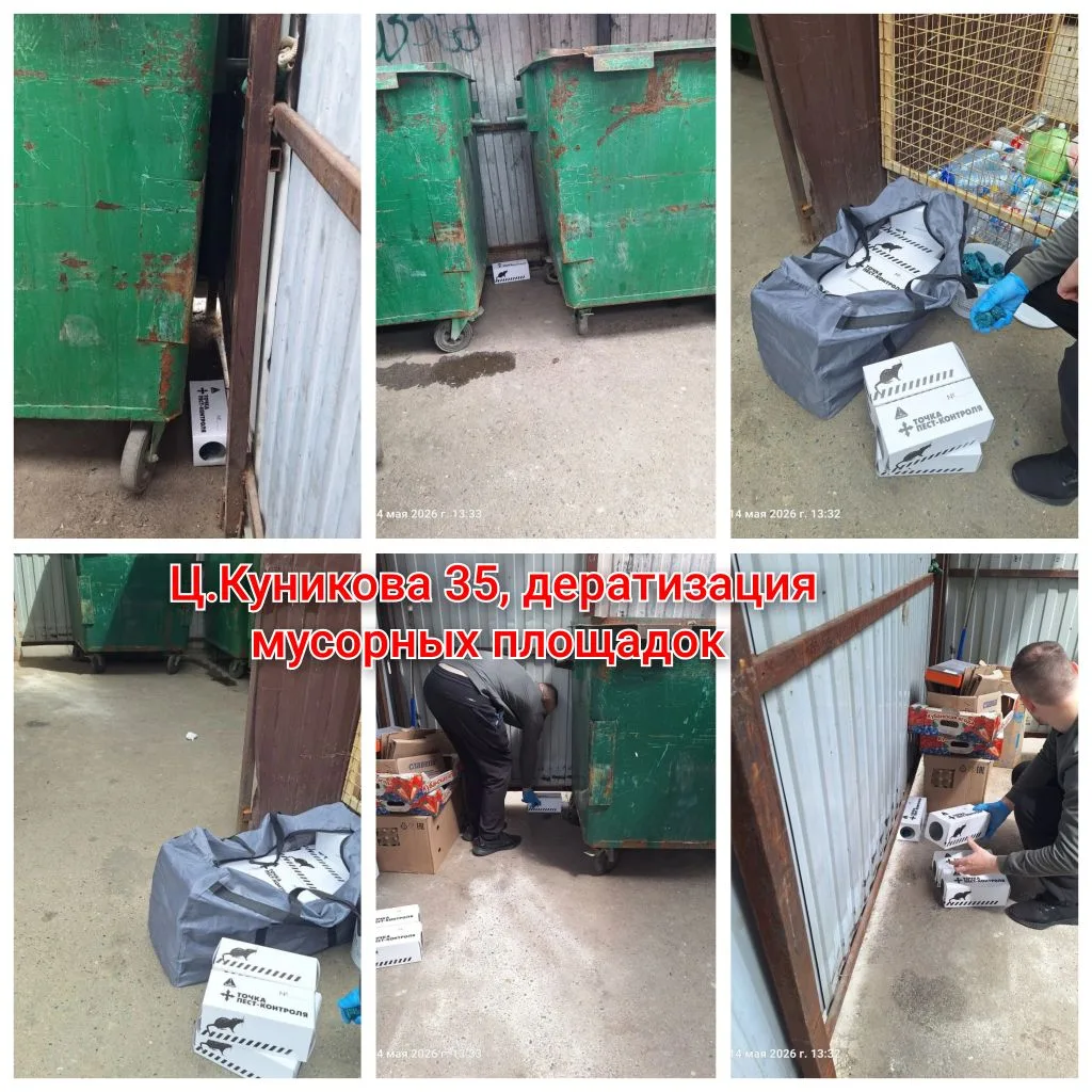 IMG_20260515_154428.png